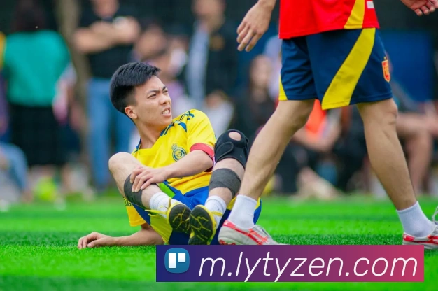 乐鱼体育平台生态图